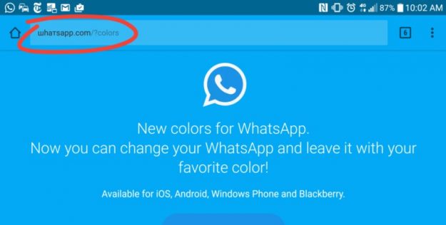 whatsapp-colori_17120839.jpg.pagespeed.ce.bTaodJ96D0