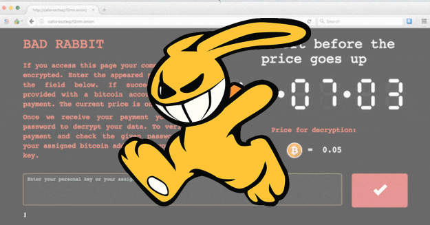 bad-rabbit2